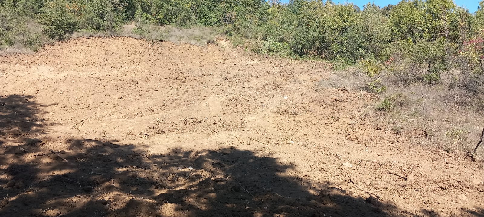 YALOVADA RUHUNUZU VE BEDENİNİZİ DİNLENDİRECEK BAHÇE - YALOVA ALTINOVA fotoğraf 7